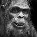 Profile Picture of Gary Fretwell (@Gary-Fretwell) on Facebook