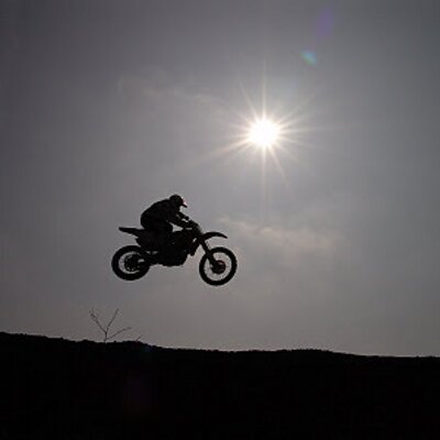 Profile Picture of Michael Scheiberon Twitter