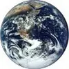Profile Picture of michaelhalperin2 (@michael.halperin5) on Tiktok