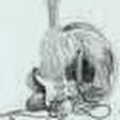 Profile Picture of Tim Coffey (@KCOBAINZ67) on Youtube