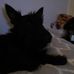 Profile Picture of Amelia Shultz (@amelia.shultz.568) on Facebook