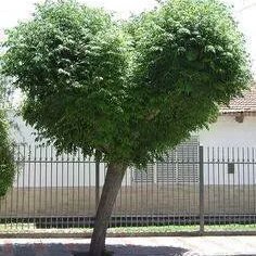 Profile Picture of Ahmed Rashwan (@ahmedrashwan980) on Twitter