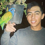 Profile Picture of David Pallo (@davidpallo3567) on Youtube