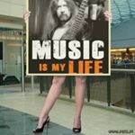 Profile Picture of Allan Chaney (@allan.chaney) on Instagram