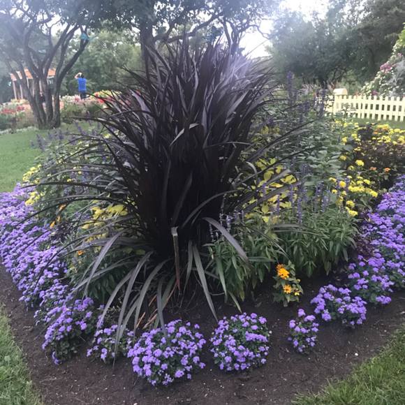 Profile Picture of Bassma Bassma (@homman13) on Poshmark