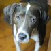 Profile Picture of Jason Ramon (@jason_ramon) on Pinterest