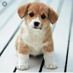 Profile Picture of Mildred Wright❤ (@mildred_wright_10) on Instagram