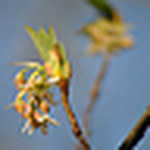 Profile Picture of Regina Keller (@regina rae) on Flickr