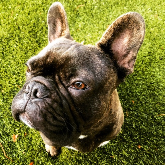 Profile Picture of Brutuss H (@jhrndz818) on Poshmark
