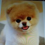 Profile Picture of jocelynmendes (@jocelynme35) on Instagram