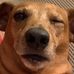 Profile Picture of Jeremy Wesson (@jeremy.wesson.3701) on Facebook