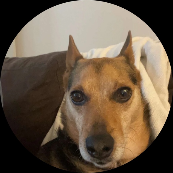 Grace Warrell - Poshmark Profile Picture of Grace Warrell (@gracewarre) on Poshmark