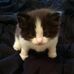 Profile Picture of Emmett Kalar (@profile.php) on Facebook