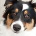 Profile Picture of Janet Reimer (@janet.reimer.75) on Facebook