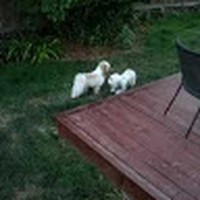 Profile Picture of Mark Ruffo (@mark-ruffo-2) on Quora