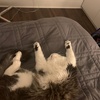 Profile Picture of Alexa Lester (@@alxandra8) on Tiktok