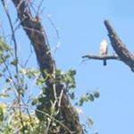 Profile Picture of Jim Blakemore (@jimblakemore2) on Instagram