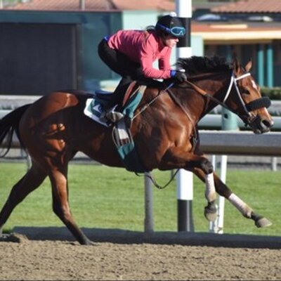 Profile Picture of MATTHEW CHEW (@CHEWRACING) on Twitter