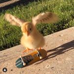 Profile Picture of Luis Salcido (@salcid0_0.xiii) on Instagram