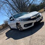 Profile Picture of Adam Green (@stock.civ) on Instagram