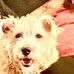 Profile Picture of Penny Dornan (@penny.dornan.9) on Facebook