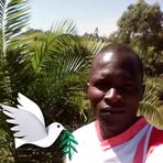 Profile Picture of Stephen Pirisi (@Stephen-Pirisi) on Facebook