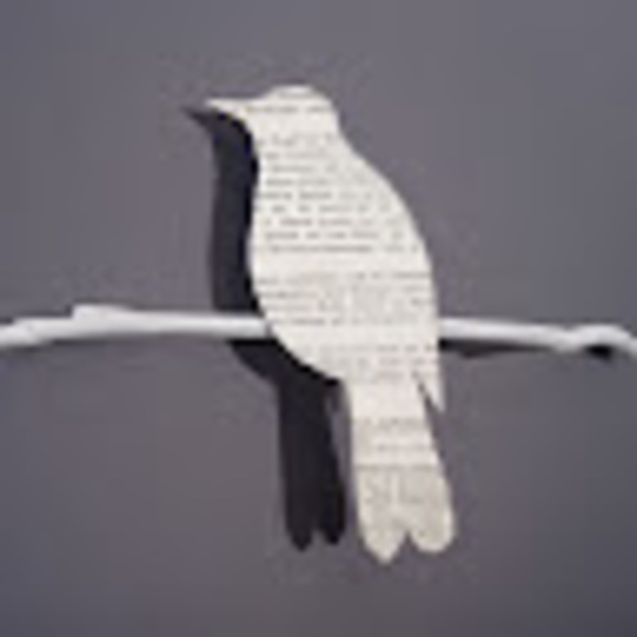 Profile Picture of Ashirmyrat Saparov (@kepderili) on Poshmark