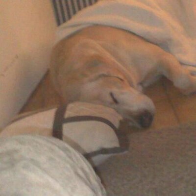Profile Picture of Brandon Kilgore (@Brandon_Kilgore) on Twitter