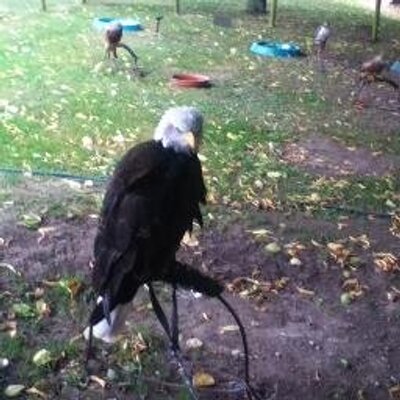 Profile Picture of Andy Drain (@DrainAndy) on Twitter