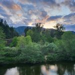 Profile Picture of Nancy Greco Erickson (@petaluma_art) on Instagram