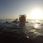 Profile Picture of Peter Post (@post_peter) on Instagram