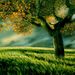 Profile Picture of Dagoberto Campos (@dacampos27) on Pinterest