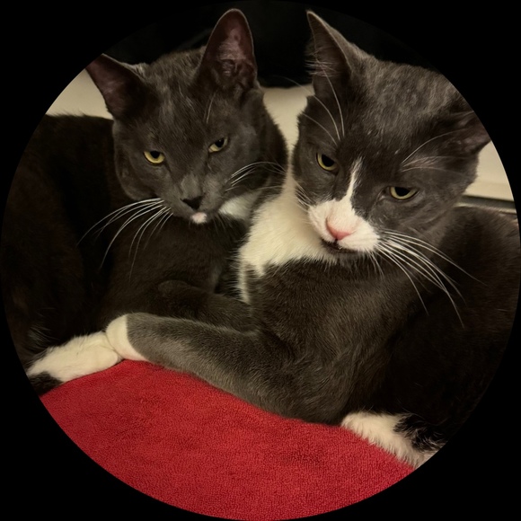 Profile Picture of Nena Nena (@neva2471) on Poshmark