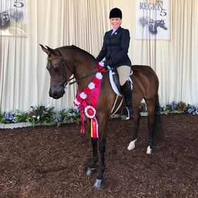 Profile Picture of Cindy Tingley (@sindee) on Pinterest