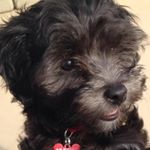 Profile Picture of Rhonda Tuttle Knotts (@rhondatuttleknotts) on Instagram
