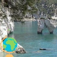 Profile Picture of Mark DI Biase (@dibiase1348) on Pinterest