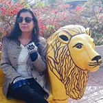 Profile Picture of Geeta Verma (@geeta.verma.7127) on Instagram
