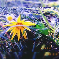 Profile Picture of Otha Smith (@otha-smith-6) on Quora