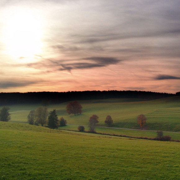 Profile Picture of Kim Fournier (@scottandkim99) on Poshmark