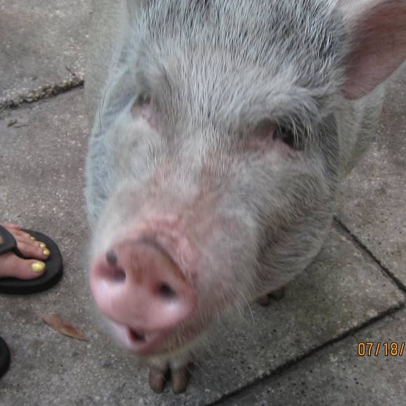 Profile Picture of Jason Patterson (@jasonpatters426) on Poshmark