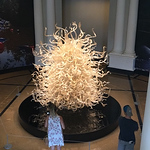 Profile Picture of Nancy Castillo (@nancycastillo2) on Flickr