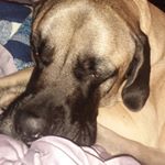 Profile Picture of paul j lanman (@pauljlanman) on Instagram