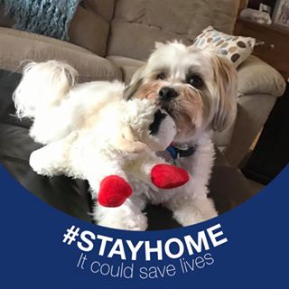 Profile Picture of Al Tague (@edwin.tague) on Facebook