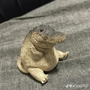 Profile Picture of Dominik Janczewski (@dominikjanczes11) on Youtube