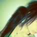 Profile Picture of Jocelyn Daniels (@jocelyn.daniels.397) on Facebook