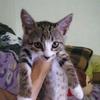 Profile Picture of Roberto Daniel (@@robertodaniel2) on Tiktok