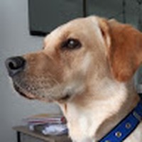 Profile Picture of Flavio Larashi (@flavio-larashi) on Quora