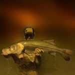 Profile Picture of Travis Williams-Martell (@travis__wm) on Instagram