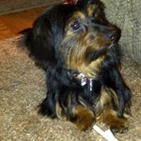 Profile Picture of Keith Westphal (@keithwestphal33) on Pinterest
