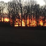 Profile Picture of Robin Plyler (@robinplyler_66) on Instagram